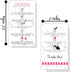 Press-On Nail Application Instructions Cards, 50 Pack, 2x3.5" Business Card Size for DIY Nail Kit