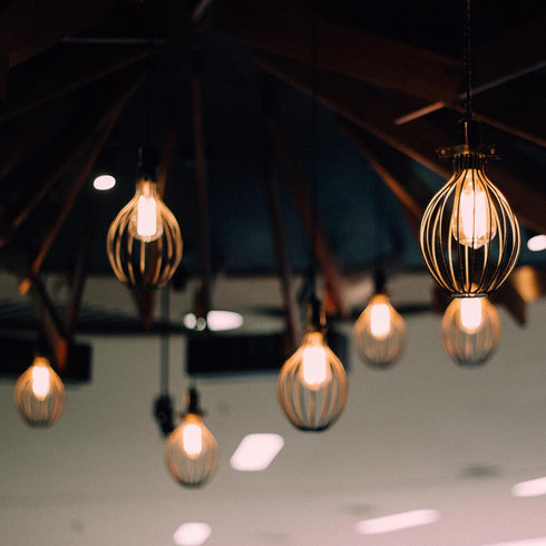 Feit Electric ST19 Vintage Edison LED Light Bulb, 60W Equivalent, Dimmable, 5000K Daylight, 800 Lumens, 8 Pack