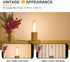 T10 Bulb- Dimmable E26 Bulbs 25W 2700K 2W Bulbs 6 Count Frosted LED LED Chandelier Equivalent- Soft Warm- Vintage