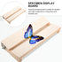 Yardwe Specimen Display Board, Adjustable Labs Boards for Butterfly Mounting Specimen Spreading Wings for Science
