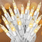 25FT 100 Incandescent Warm White Christmas Lights, Mini Lights with White Wire for Tree, Garland, Thanksgiving, Party