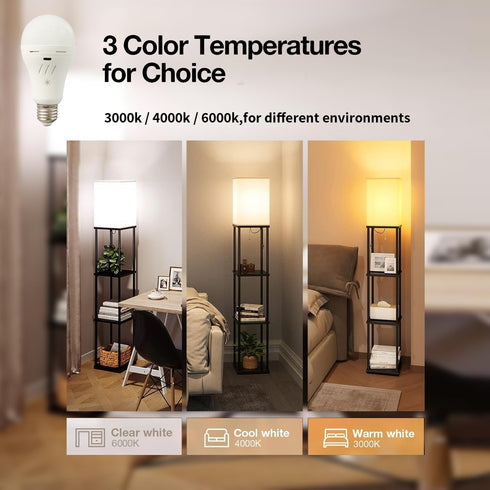 Rechargeable Light Bulbs with Remote Control, 700LM, 2600mAh Battery Emergency Light Bulb, 2 Pack