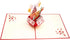 iGifts And Cards Happy 21st Red Birthday Party Box - 3D Pop Up Greeting Card for Unique Celebration, Balloons, Gifts
