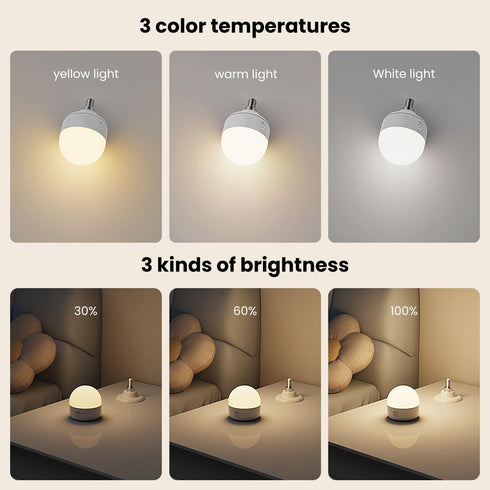 Rechargeable Light Bulbs with Remote Control Timer and 3 Color Temperature Options,Rechargeable Wall Sconce Puck Lights Battery Operated with Remote (E12, 2) by LGMCF