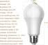 7117 Bulbs, 13W (100Watt Bulb, A19 E26 5500K 3Pack (5500K) Motion Sensor Light Equivalent), Motion Activated Dusk