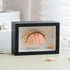 1st 6.6 4.6 Heaven Framed Real Crab Taxidermy Preserved Specimen for Wall Art, Coastal Home Decor, or Educational
