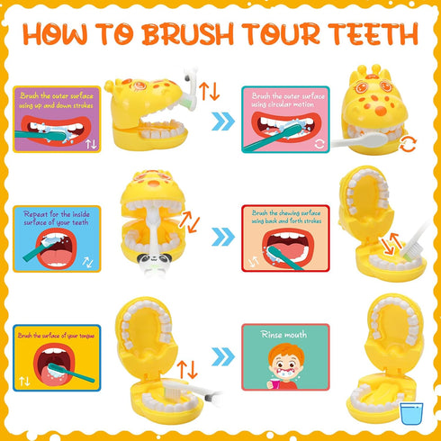 2 Set Set Skylety Dentist Play Dental Teeth Model with Toothbrush Educational Cards Standard Size Fake Brace