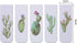 Chinco 10 Pieces Assorted Magnetic Bookmarks Set, Page Markers for Students, Christmas Reading Gifts (Cactus)