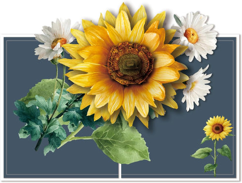 Cards,3D Pop Up Birthday Mothers Day Card Yellow Sunflower Greeting Gifts for Women Wife Mom Mothers Sister Aunt