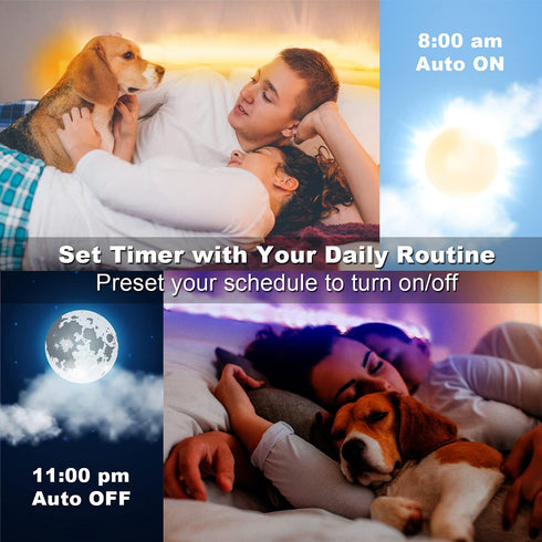 100 DAYBETTER Led Lights for Bedroom ft, Led Strip Lights, Led Light Strips with Remote and App Control, Music Sync RGB
