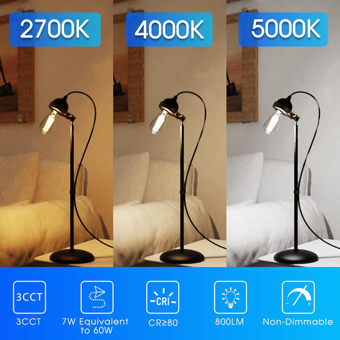 E ENERGETIC LIGHTING ST58/ST18 LED Filament Bulbs, 3CCT, 2700K/4000K/5000K, 7W (60W Equivalent), High Brightness, E26,