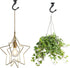 Eilumduo 65mm Ceiling Hooks, Heavy Duty Swag Hook with Steel Screws for Hanging Plants, Black (2 Sets)