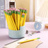 Fainne 102 Pcs Jumbo Pencils and Sharpeners Set, Large Fat Pencils for Kids, School, Office