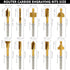 10 1/8"(3mm) Trimming Renyu Pcs HSS Router Carbide Engraving Bits, Titanium Router Bits for Carving, Drilling, DIY