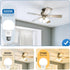 SHINESTAR A19 LED Light Bulb 60W Equivalent E26 Base 9W 5000K Daylight 800 Lumens Non-Dimmable, 6-Pack