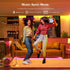 SK6812RGBW WS2814 TM1824 UCS2904 SP617E /3 BTF-LIGHTING Built-in Mic Bluetooth Controller Sync Music Mode Timer