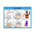 HOM LLC 9X12" Set 5 All New! ABA/OT Approved Step-by-Step of Visual Schedules. Potty Training, Bathing, Shower, Teeth