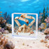 Gift,Oddities(2.95 2.95 0.94 inch,Crab Taxidermy Crab,Real Crab Taxidermy Animals in Resin,Real Crab Specimen