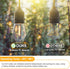 Mlambert LED String Light Bulbs,Shatterproof Outdoor String S14 Replacement Light Bulb,Waterproof 1W LED Edison Bulb Equal to 11W,15 Pack,Not Solar by Mlambert