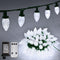 ZAIYW C9 Christmas String Lights 66ft 100 LED Strawberry Lights UL Plug