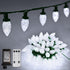 ZAIYW C9 Christmas String Lights 66ft 100 LED Strawberry Lights UL Plug