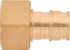 SharkBite 1/2 x 1/2 Inch NPSM Expansion FNPT Swivel Adapter for PEX-A Pipe, Brass Plumbing Fittings, Female Adapter for PEX-A Tubing, UAB526LFA by SharkBite