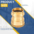 Press Fittings Adapter, 1" Press Fit x 1" Female NPT Threaded (LF Brass, 5 PACK)
