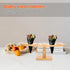 5 3.3cm Countertop FRCOLOR Wooden Ice Cream Cone Stand with Slots Diameter Sushi Roll Holder Display Rack for Party