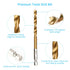 19PCS Premium Hex Drill Bit Set, Titanium Drill Bits Set, High Speed Steel Hex Shank for Wood