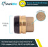 SharkBite Push to Connect Brass Plumbing Fitting, 1-1/2 Inch Push Cap for PEX Pipe, Copper, CPVC, PE-RT, HDPE, UXL0441