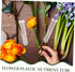 50pcs GANAZONO -Keeping Tubes Vials for Fresh Flowers Plastic Water Tubes for Carnations Roses and Sunflowers