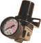 Primefit R1401G Mini Air Regulator with Steel-Protected Gauge - 60-SCFM at 100-PSI, 1/4" NPT