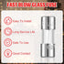20 0.14 0.39 Inch 3A 125 (3A) Pieces x Christmas Lights Fuse Replacement Christmas Tree Light Fuses Volt Fast Blow