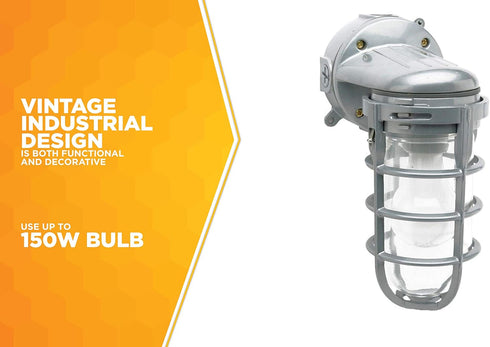L1707SV 150W Woods Traditional Incandescent Weather Industrial Light, Wall Mount, Silver,Large