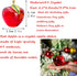 H&D Glaze Crystal Apple Paperweight Craft Decoration, Red