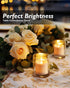Homemory 12 Pack Timer Flameless LED Votive Candles, Battery Operated Tea Light with Timers for Wedding Decorations