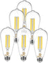 DAYBETTER 6 Pack Vintage LED Edison Bulbs, E26 Dimmable LED Bulb, 60