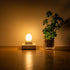 Frosted E26 LED Bulb 4W, 2700K Warm White, 40 Watt Equivalent, G16.5 Edison Globe Light Bulbs, 6-Pack for Chandelier