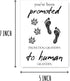 EdgarGifts You've Been Promoted Card - Dog Grandpa To Human Grandpa Card - Grandpa Card - Pregnancy Card - Notice Card