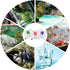 Nynelly 15 Pcs pH Meter Buffer Solution Powder, Easy Calibration Powder Solution 4.00, 6.86, 9.18