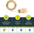 SharkBite 3/4 x 3/4 Inch Expansion FNPT Sweat Adapter, UAB606LFA for PEX-A Pipe, Brass Plumbing Fittings