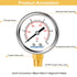 Lead-Free Water Pressure Gauge Liquid Filled 0-15Psi, 2" Dial, Stainless Steel Case, 1/4" NPT Lower Mount