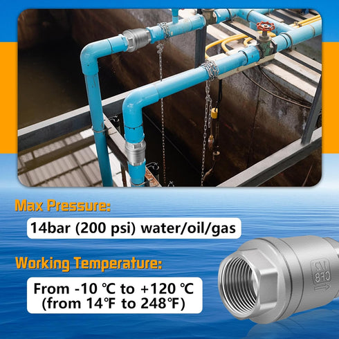 Boltigen 1/2 Inch NPT Thread Stainless Steel Spring Check Valve, Non-Return Horizontal Check Valve for Well, Pump, Tank