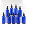 YIZHAO Blue Glass Dropper Bottle, 4oz Tincture Bottles with Glass Dropper for Essential Oils, 9 Pcs