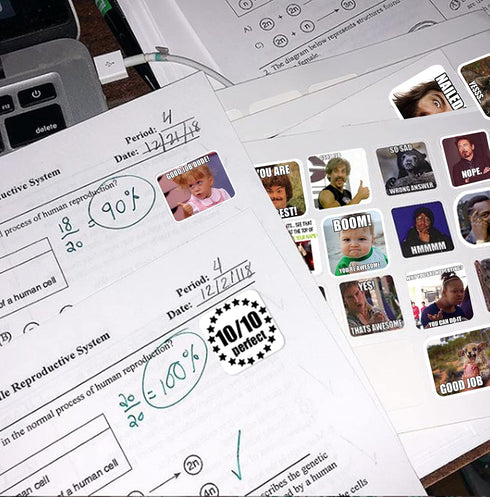 Meme Stickers for Teachers, 150pcs No Repetition Reward Stickers