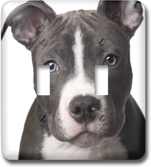 3dRose lsp_4240_2 American Pit Bull Terrier Puppy Double Toggle Switch