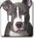 3dRose lsp_4240_2 American Pit Bull Terrier Puppy Double Toggle Switch