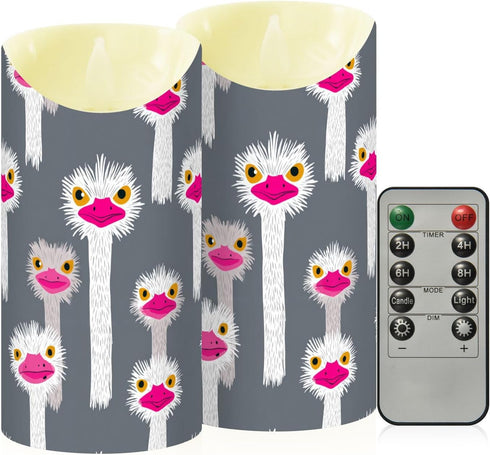 decor gift 2/4/6/8H Indoor Decor Fake Candles with Timer Funny Paradise Emu Head Gray Remote Control Candles
