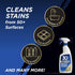 30 32 Oz. SECONDS Pro Mold and Mildew Stain Remover | Scrub Free | Brighter Results Instantly | Ready To Use | Fl.