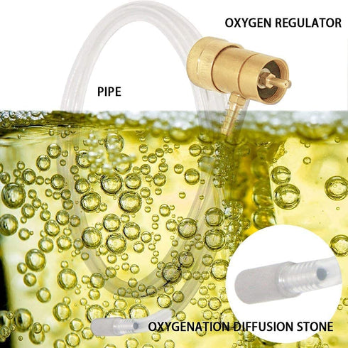 Joywayus Solid Brass Oxygen Regulator Tank Valve with 1/4" Barb Fitting for Disposable Tanks